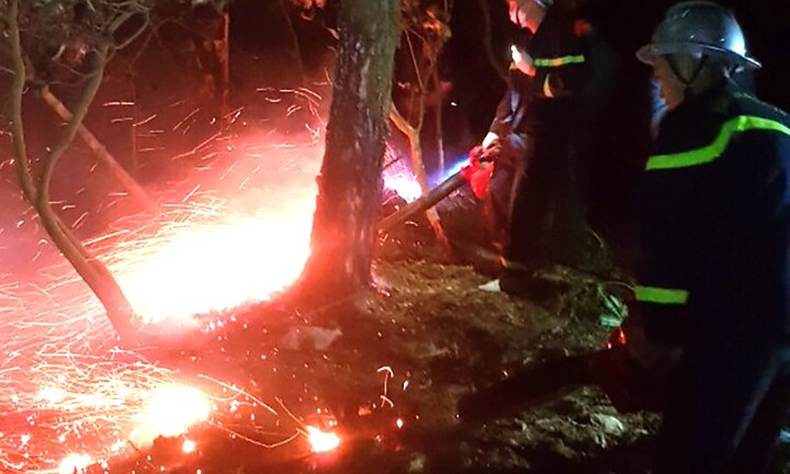 Hà Nội: Rừng bốc cháy, 355 người leo núi dập lửa 