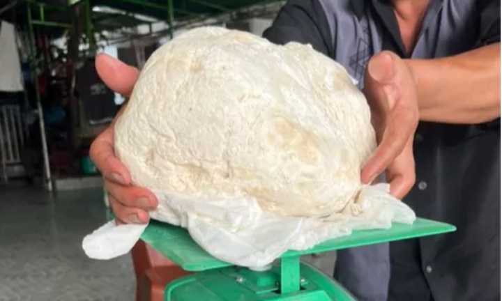 Tin thời sự mới nóng nhất 21/11: Ngư dân vớt được vật lạ nghi là long diên hương quý hiếm