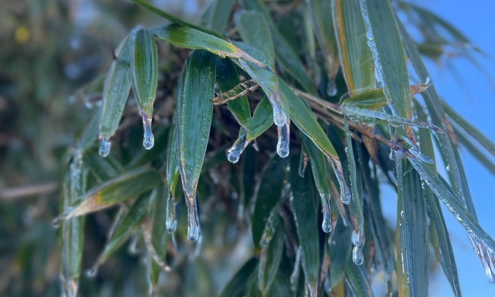 Tin thời sự mới nóng nhất 18/12: Băng giá xuất hiện trên đỉnh Fansipan