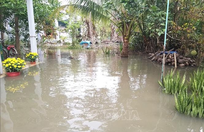 Tin thời sự mới nóng nhất 26/1: Triều cường bất ngờ dâng cao, nhiều nơi ở Bến Tre bị ngập sâu