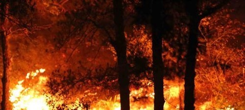 Tin thời sự mới nóng nhất 9/3: Cháy rừng khiến hai người tử vong ở Kon Tum