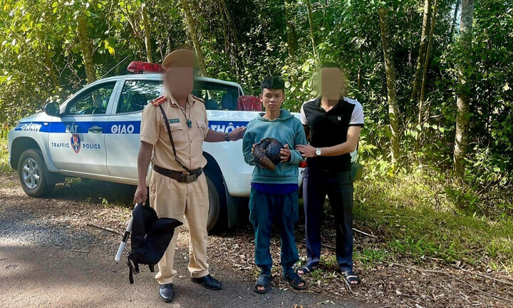 Tạm giam 3 đối tượng vận chuyển tê tê trái phép 