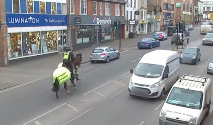 Video: Cảnh sát Anh đi ngựa tuần tra, xử lý tài xế dùng điện thoại