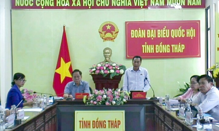 Đề xuất xây dựng tòa án chuyên biệt để xét xử các vụ án phá sản