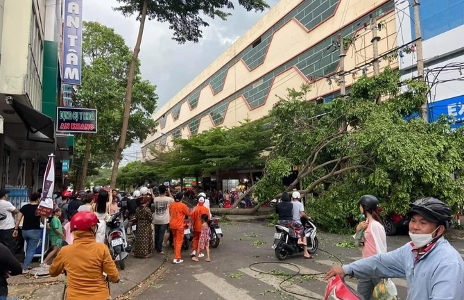 Tin thời sự mới nóng nhất 2/5: Cô gái bị cây đè ở Đắk Lắk hiện thế nào?