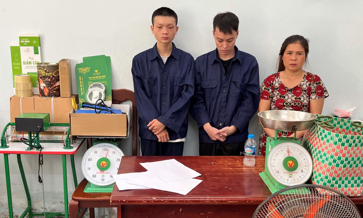 TP.HCM: Triệt phá đường dây trồng, đóng gói cần sa khép kín