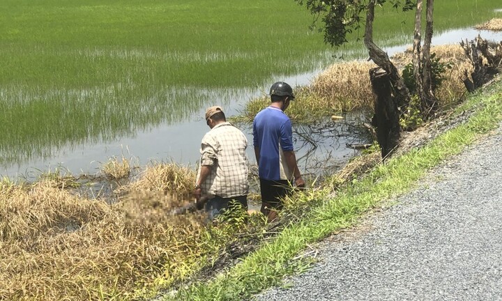 Vụ đi xe đạp tự té xuống ruộng tử vong: Nạn nhân nghiện ma túy, có tiền sử bệnh thần kinh