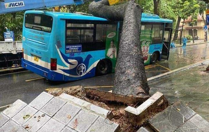 Tin thời sự nóng mới nhất ngày 6/8: Cây cổ thụ bất ngờ bật gốc đè trúng xe buýt đang chạy