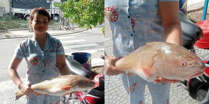 Tin nóng 24h hôm nay ngày 8/8: Ngư dân bắt được loài cá hiếm ở vùng biển Nam Ô Đà Nẵng