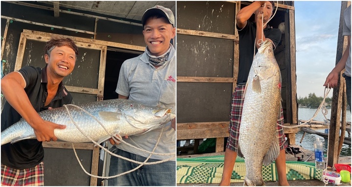 Cần thủ câu được cá vược 