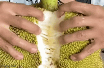 Video: Tay không bổ mít, chàng trai khiến cư dân mạng trầm trồ vì kết quả bất ngờ