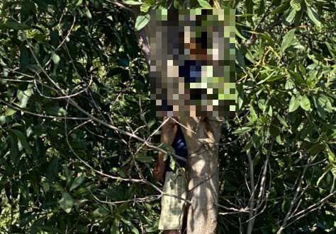 Tin tức thời sự mới nóng nhất hôm nay 27/6/2021: Nghi phạm đâm 2 đồng nghiệp thương vong đã treo cổ tự tử