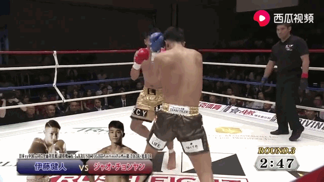 Video: Tung cú lên gối sở trường cực độc, võ sĩ Trung Quốc khiến đối thủ đo sàn, co giật