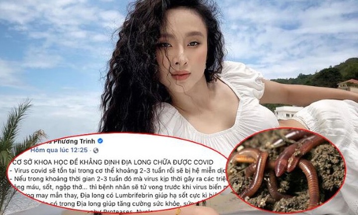 Đăng tin địa long chữa COVID-19, Angela Phương Trinh bị phạt 7,5 triệu đồng