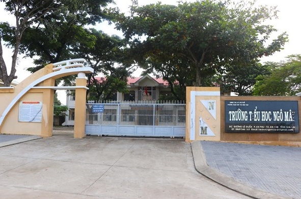 Gia Lai: Yêu cầu một số trường trả lại tiền thu sai quy định cho phụ huynh