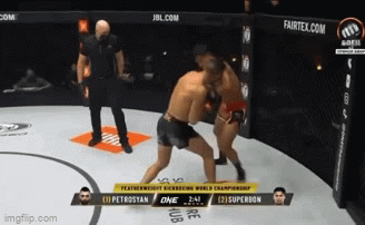 Video: Dính cú đá trúng đầu của võ sĩ Muay Thái, tay đấm người Ý