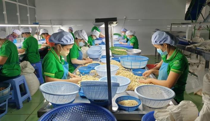 Vụ lô điều 162 tỷ nguy cơ mất trắng: Thủ tướng chỉ đạo 5 bộ vào cuộc