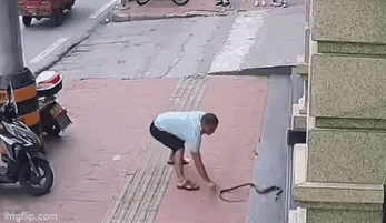 Video: Người đàn ông khiến cư dân mạng trầm trồ vì vừa nghe điện thoại vừa thản nhiên bắt rắn