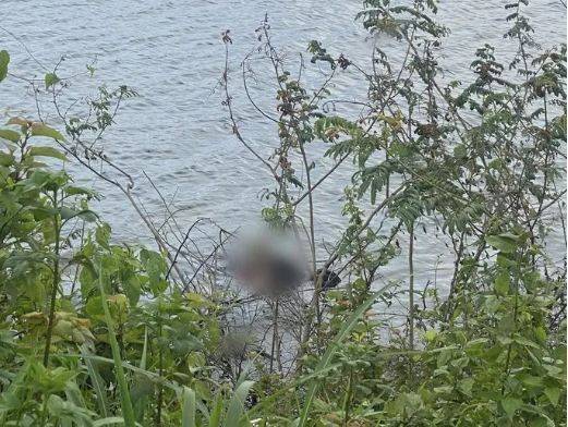 Phát hiện thi thể nam giới dưới hồ đá trường ĐH Quốc gia TP.HCM