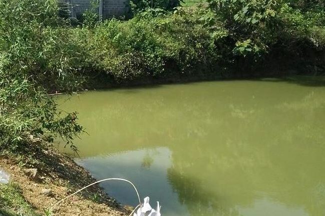 Đắk Nông: Đi bắt ốc, hai em nhỏ đuối nước tử vong thương tâm