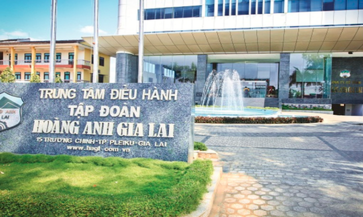 HAGL muốn phát hành 1.700 tỷ đồng cổ phiếu để dồn tiền cho trồng chuối, trả nợ