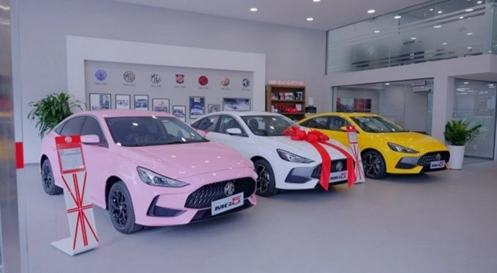 Loạt lãnh đạo nhà phân phối ô tô lớn nhất Việt Nam bất ngờ từ nhiệm