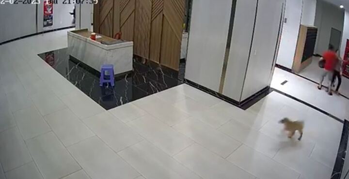 Giám định thương tích người đàn ông bị chủ chó hành hung