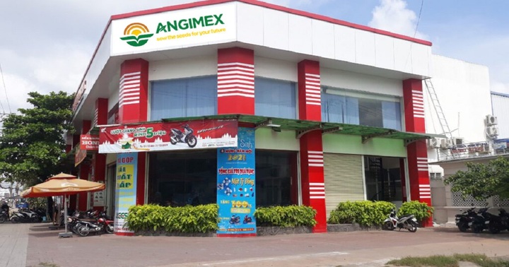 Angimex (AGM) nói gì về việc cổ phiếu tăng trần 10 phiên liên tiếp?