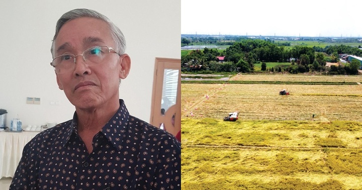 Vì sao Chủ tịch và Tổng giám đốc Công ty gạo Trung An xin từ nhiệm giữa lúc “bão giá” gạo?