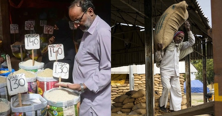 Ấn Độ cho phép xuất khẩu gạo sang Singapore, Bhutan, Mauritius