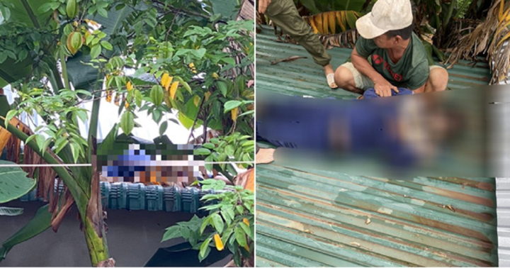 Nhân viên tử vong khi sửa chữa đường dây mạng, nghi bị điện giật