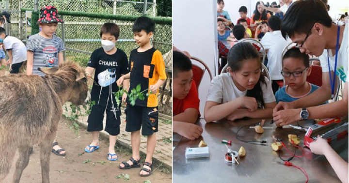 Hà Nội công bố danh sách trung tâm bồi dưỡng kỹ năng trong trường học