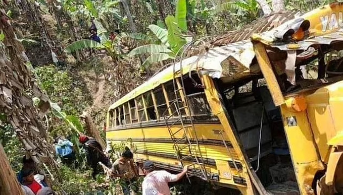 Xe buýt lao xuống khe núi sâu 50m, 6 người thiệt mạng vì bị ong sát thủ tấn công