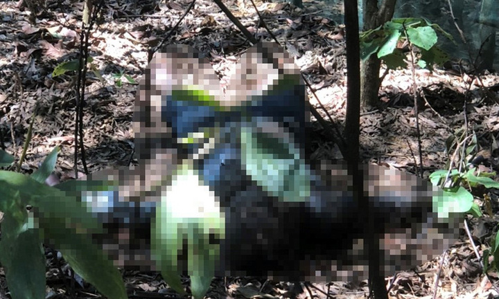 Hà Tĩnh: Phát hiện thi thể người đàn ông đang trong quá trình phân hủy tại vườn tràm