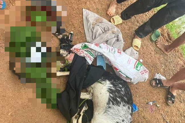 Hà Nội: Xác minh thông tin cán bộ công an bắn nhầm dê của người dân tại huyện Mỹ Đức