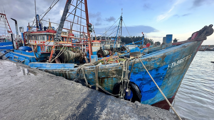 3 lao động thương vong trong hầm chứa cá trên thuyền nghi do ngạt khí