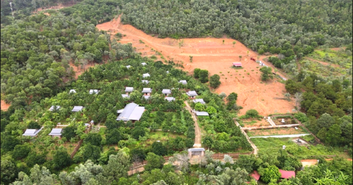 Thủ tướng yêu cầu xử nghiêm việc xây dựng trái phép trên đất rừng phòng hộ