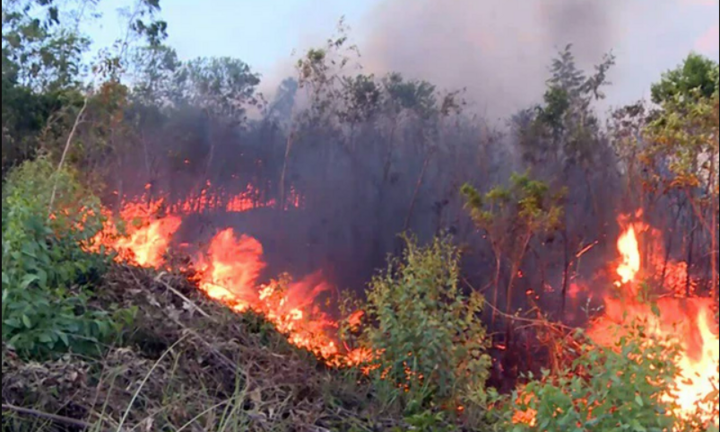Chữa cháy rừng ở Phú Yên, một người dân thiệt mạng do ngạt khói