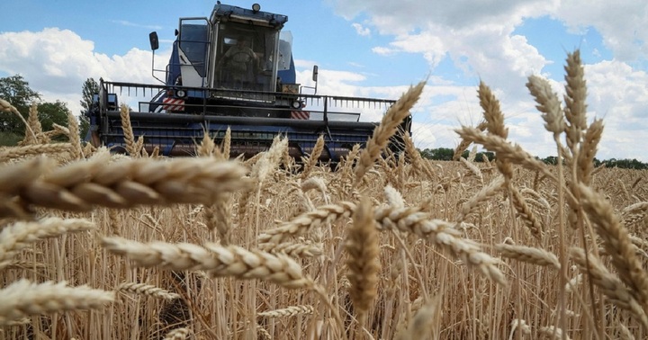 Sẽ còn 3 quốc gia EU tiếp tục gia hạn lệnh cấm nhập khẩu ngũ cốc của Ukraine