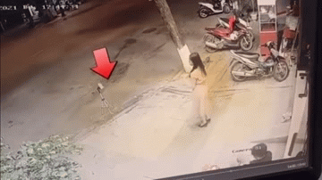 Vô tư quay TikTok trên vỉa hè, cô gái bị 2 thanh niên cướp điện thoại