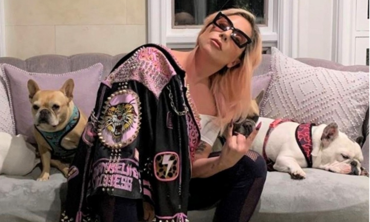 Kẻ sát nhân bắn nhân viên của Lady Gaga bị kết án 21 năm tù