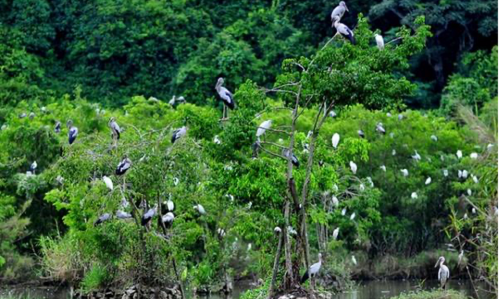 Top 5 địa điểm nhất định phải đến khi du lịch Ninh Bình