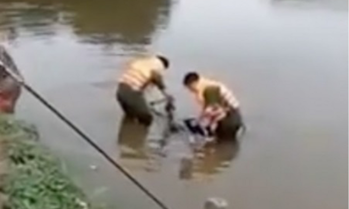 Nghệ An: Phát hiện thi thể nữ sinh 16 tuổi dưới ao cá