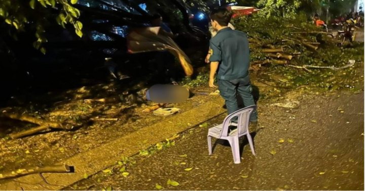 TP.HCM: Trú mưa, người đàn ông bị cây đè tử vong