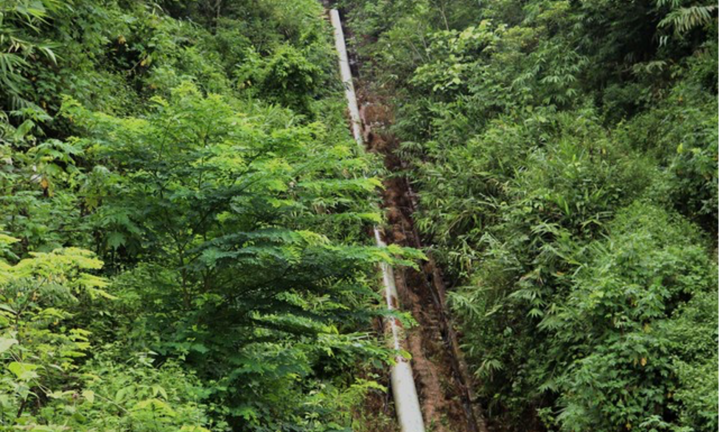 Phát hiện chất diệt cỏ trong nước sinh hoạt trong vụ ngộ độc ở Điện Biên