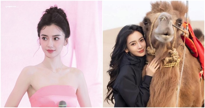 Tin tức sao Hoa ngữ mới nhất ngày 3/11: Tài khoản cá nhân của Angelababy bị hạn chế sau scandal