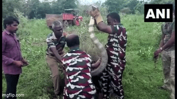 Kịch tính hàng chục người vây bắt