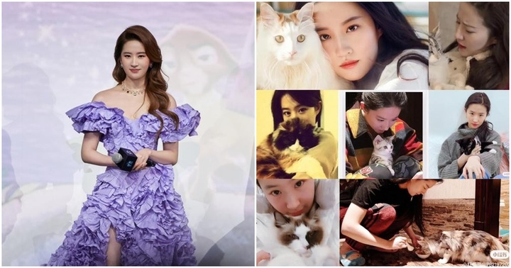 Tin tức sao Hoa ngữ mới nhất ngày 22/11: Lưu Diệc Phi khẳng định 