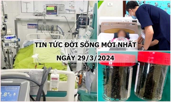 Tin tức đời sống ngày 29/3: Bị điện giật khi đi câu cá dưới đường dây cao thế