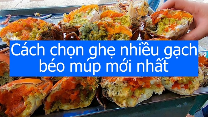 Chọn được ghẹ nhiều gạch, béo múp chỉ cần nhìn vào 5 điểm này
